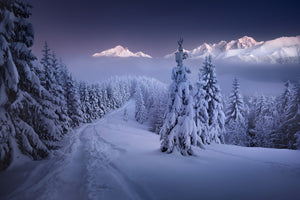 framedposter-print-in-the-winter-x
