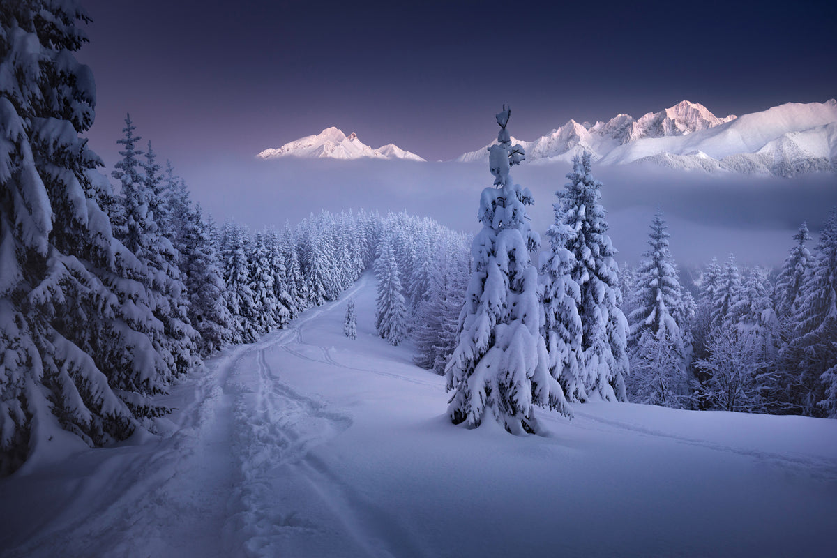 framedposter-print-in-the-winter-x