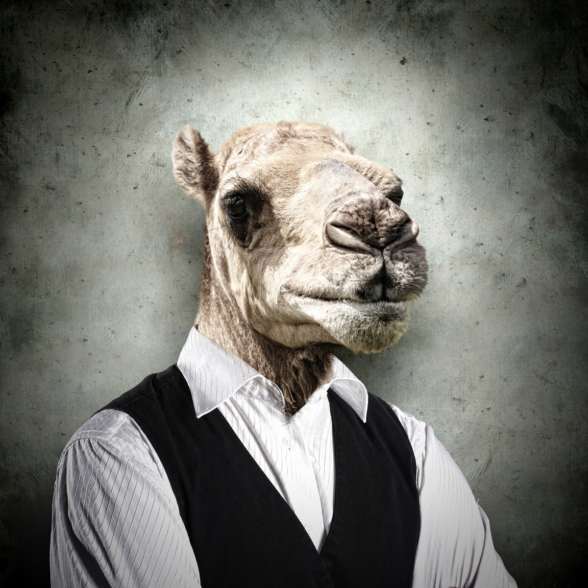 canvas-print-the-portrait