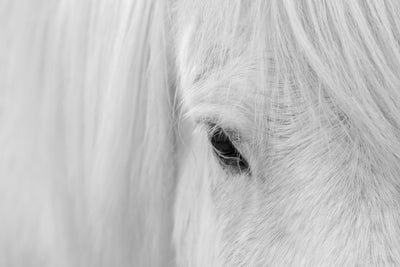 poster-print-whisper-of-iceland