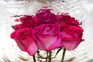 modern-3-piece-canvas-print-the-rose-reflection