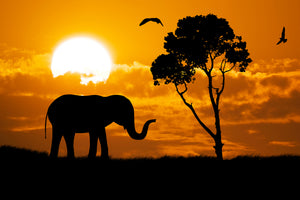poster-print-dreamy-africa