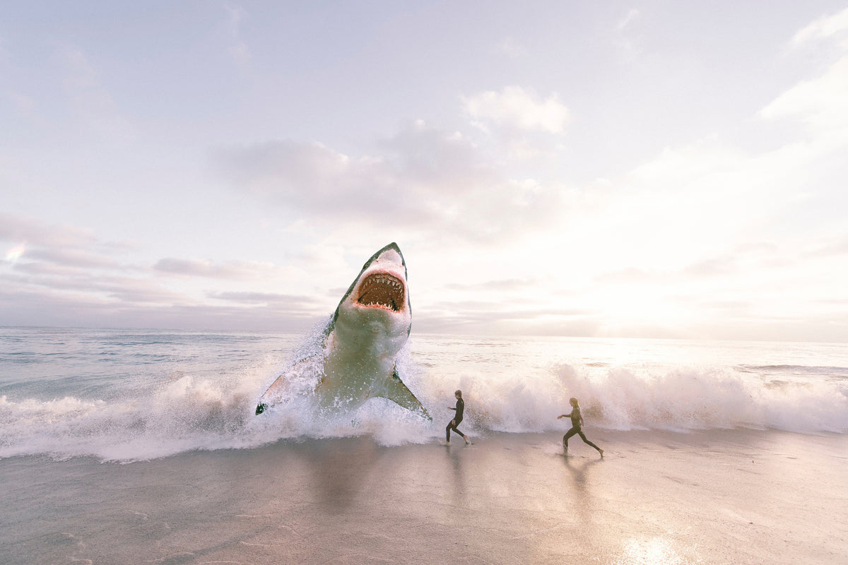 aluminium-print-beware-shark