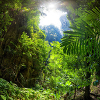 4-piece-canvas-print-clearing-in-the-jungle