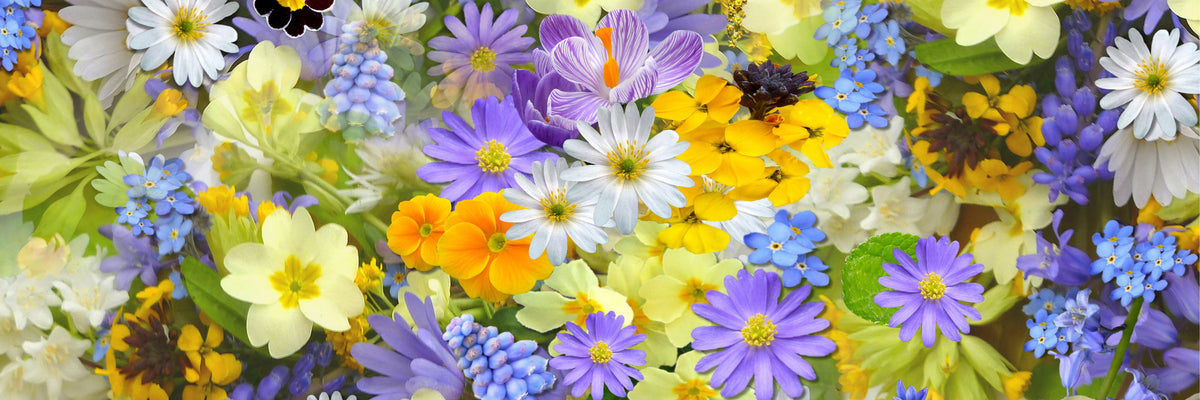 panoramic-3-piece-acrylic-print-fresh-spring-flowers-panorama