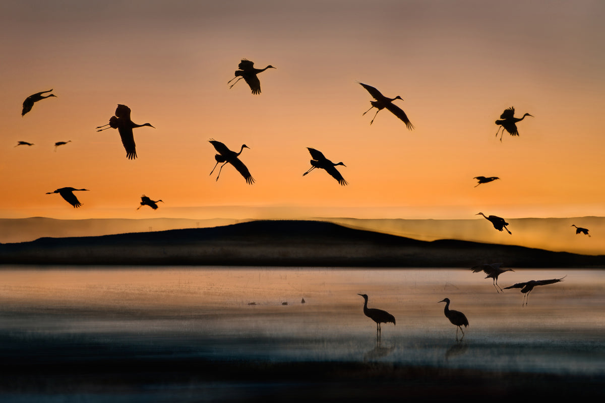 modern-3-piece-canvas-print-fly-in-at-sunset