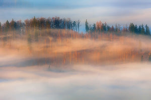 canvas-print-in-the-morning-mists