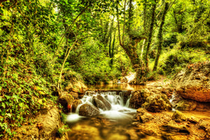 acrylic-print-waterfall-in-the-forest