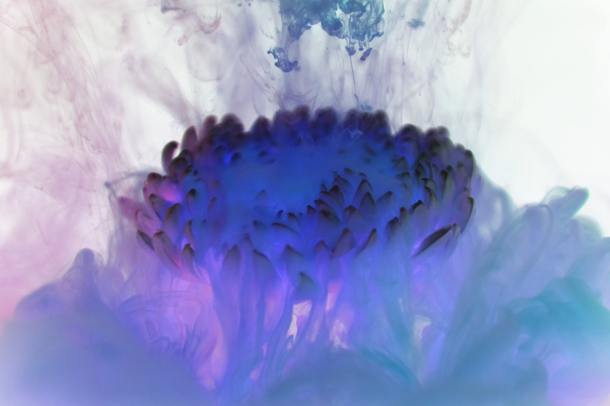 framedcanvas-print-floating-art-ii