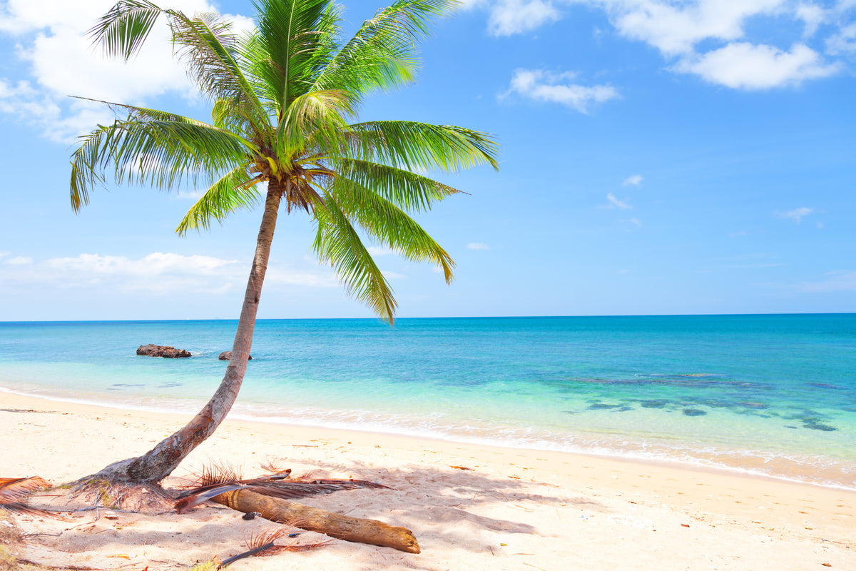acrylic-print-the-own-island
