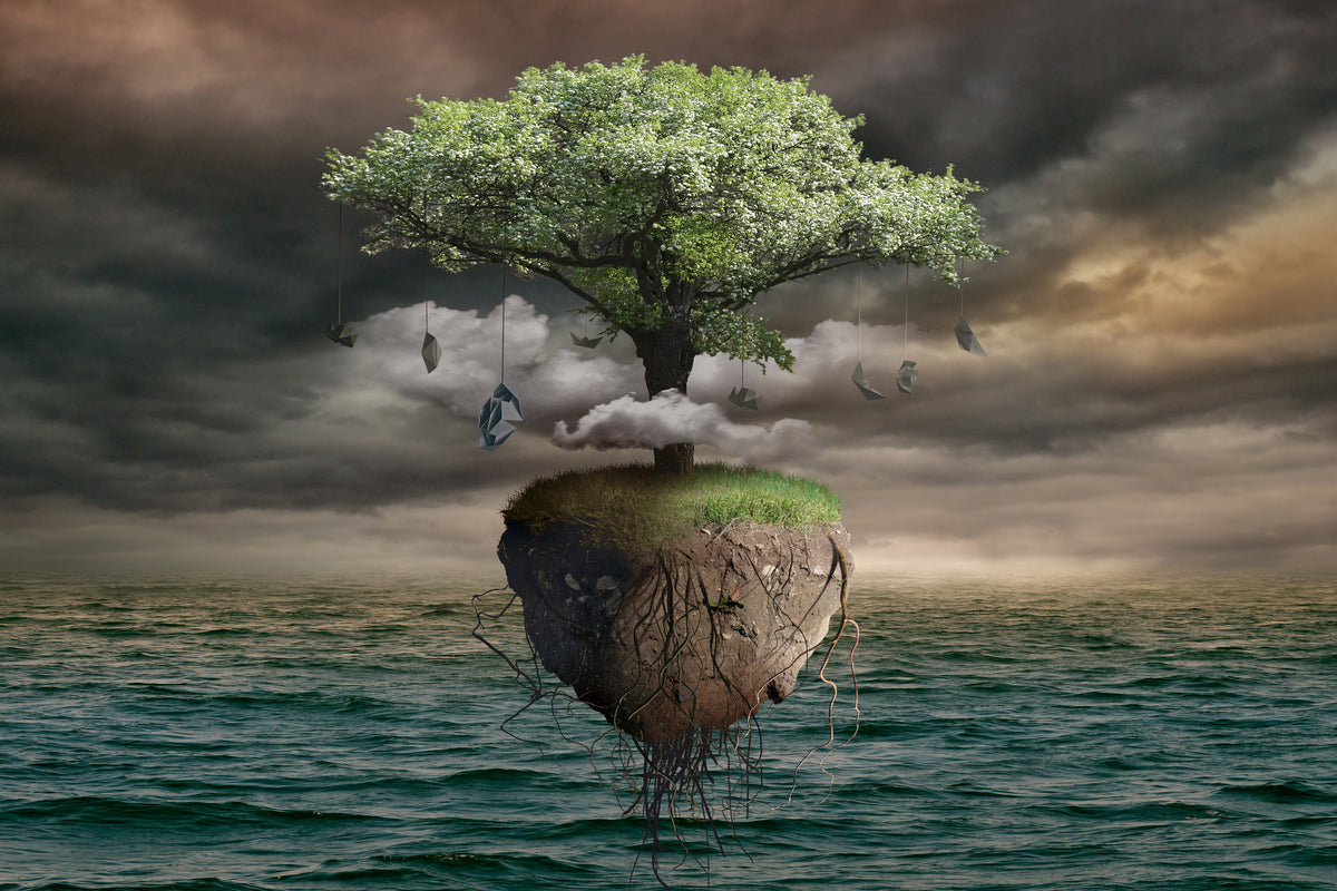 aluminium-print-lonely-tree