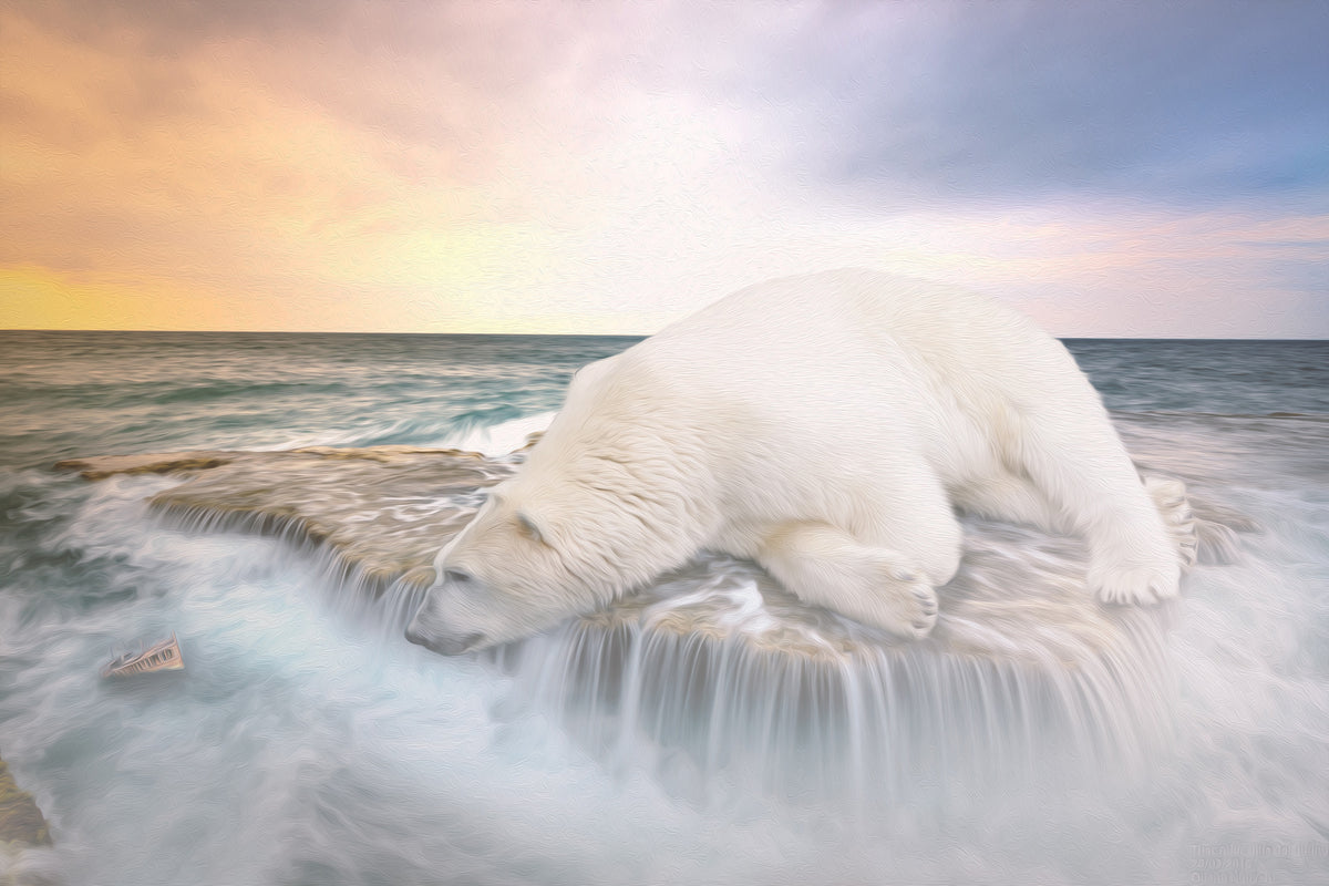 poster-print-the-polar-bear-and-the-sea