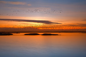 framedcanvas-print-by-sunset