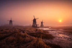 framedcanvas-print-foggy-morning-xji
