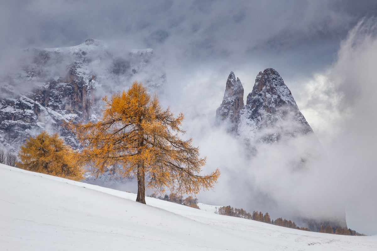 acrylic-print-between-seasons-x