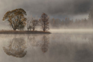 aluminium-print-october-morning