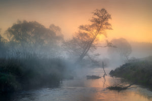 canvas-print-untitled-xlm