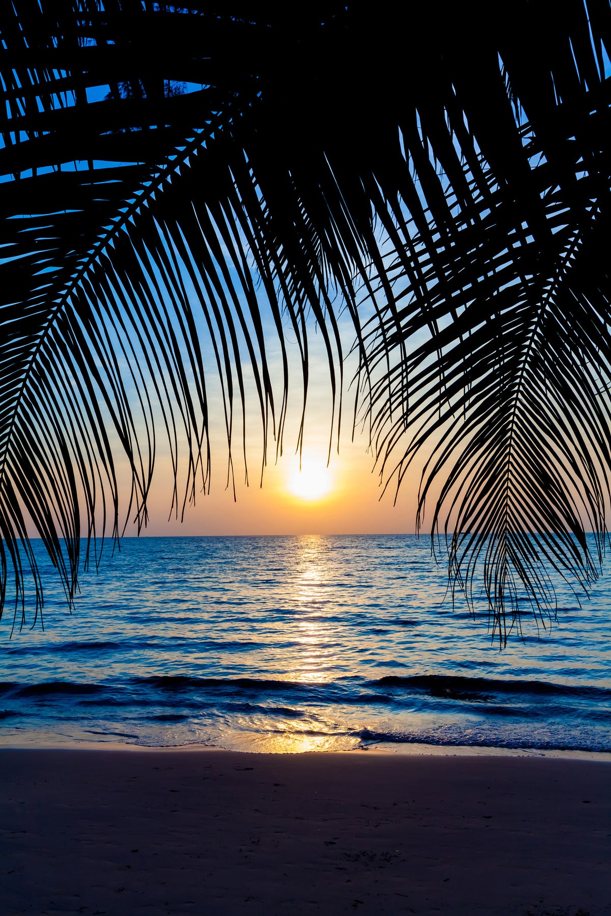 aluminium-print-through-the-palm