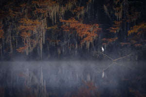 canvas-print-misty-morning-xzt