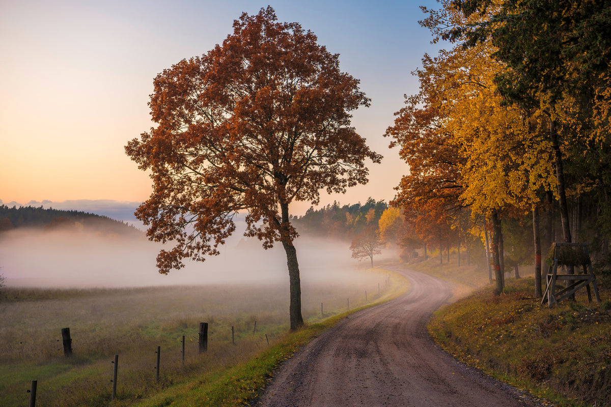 framedcanvas-print-countryside-vibes-x