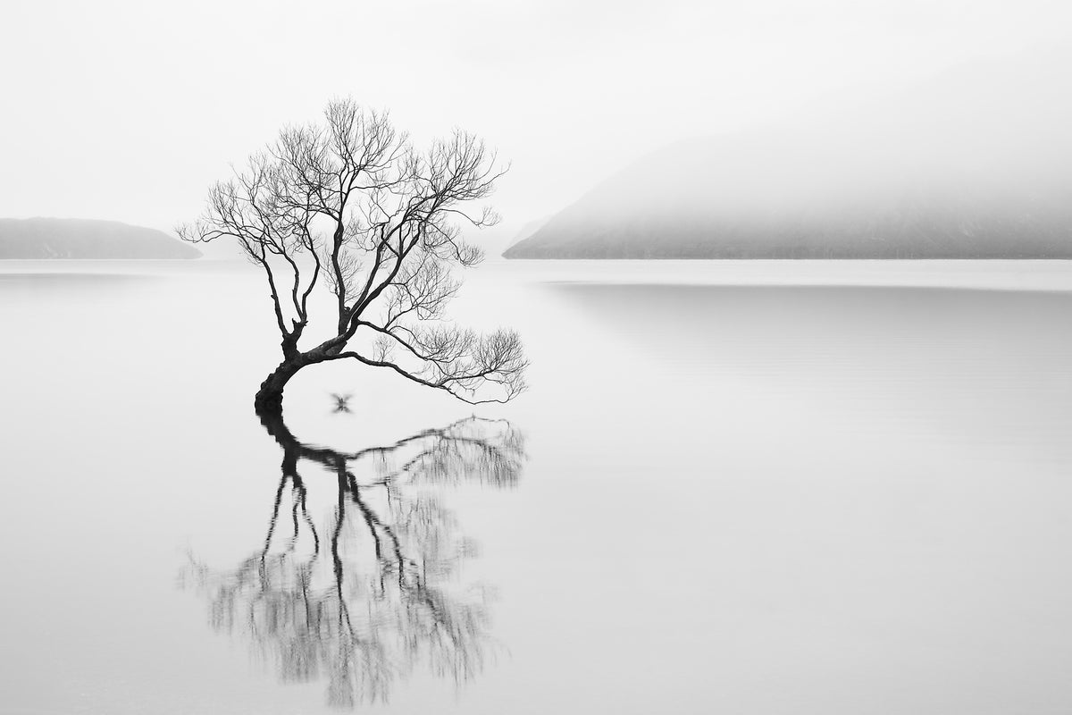 framedcanvas-print-serenity-xqn
