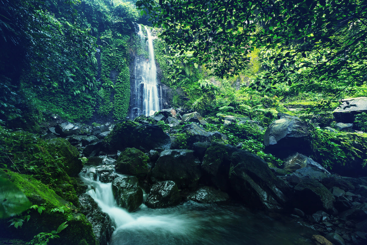canvas-print-nature