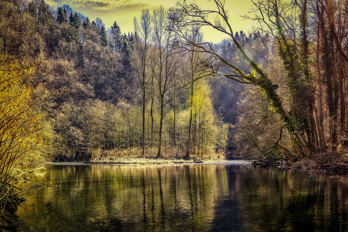3-piece-aluminium-print-lake-in-the-forest