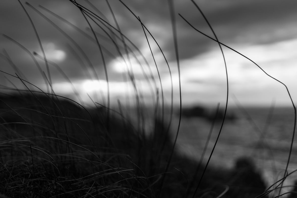 modern-3-piece-canvas-print-the-wind-brings-the-night