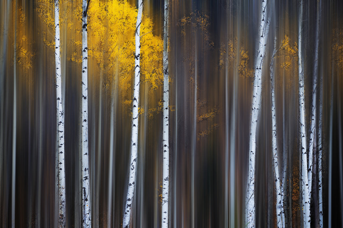 acrylic-print-curtain-of-fall
