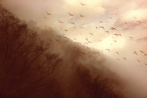 acrylic-print-departure