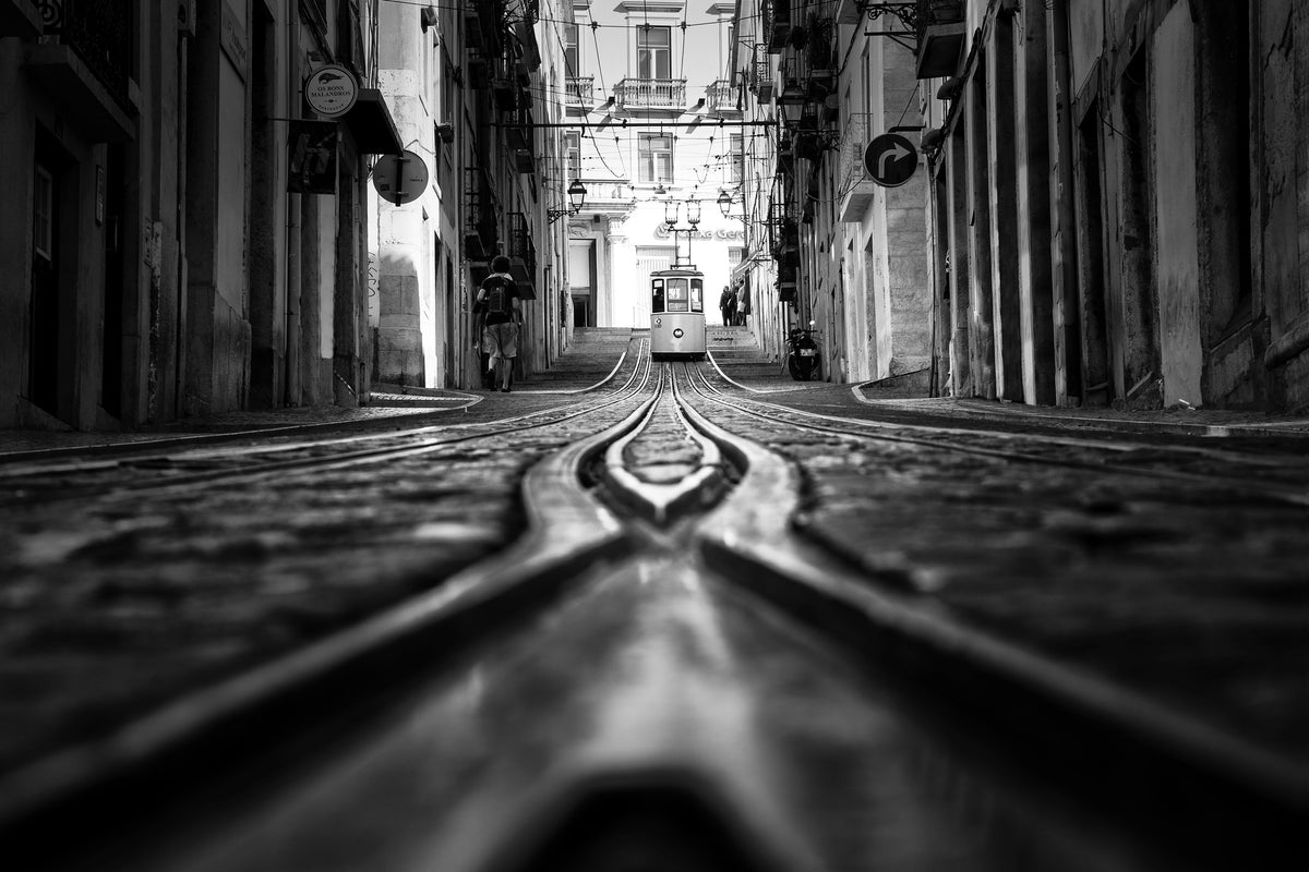 canvas-print-bica-x