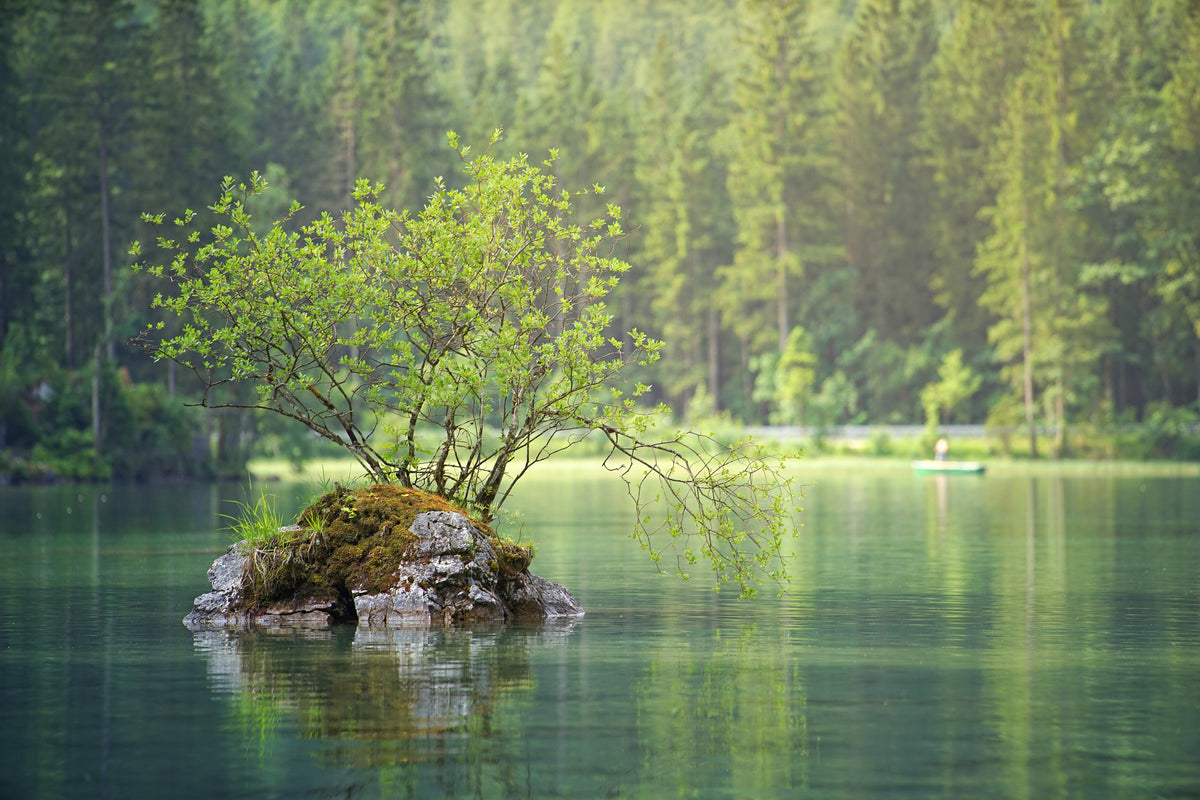 3-piece-canvas-print-the-pond-in-the-forest