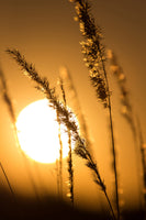 framedcanvas-print-romantic-sunset