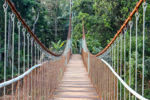 acrylic-print-bridge-for-the-brave