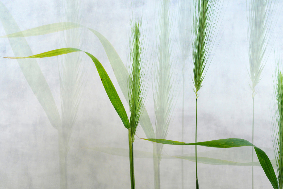 poster-print-wavy-green-x