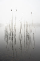 acrylic-print-silence