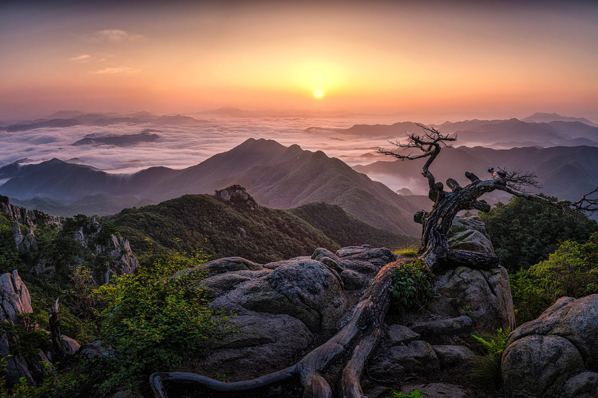 poster-print-sunrise-on-top-x