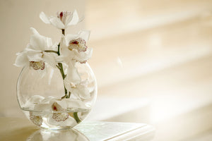 3-piece-aluminium-print-orchid-in-the-glass