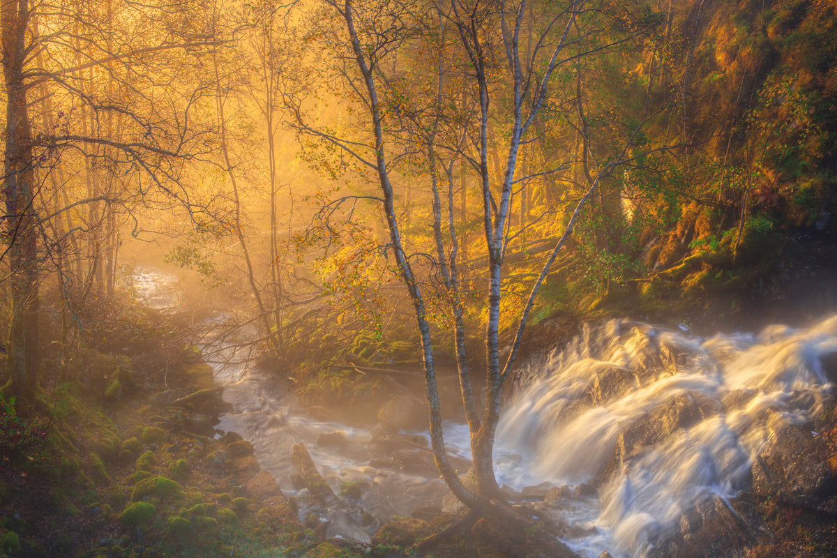 canvas-print-first-light-xah