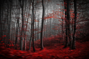 framedcanvas-print-bloody-river-x