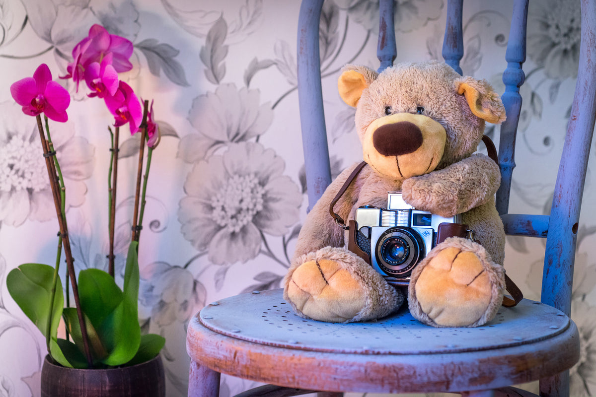 poster-print-camera-teddy-bear