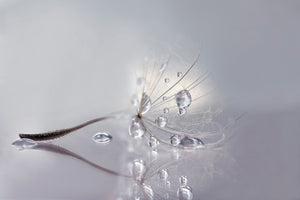 acrylic-print-silver-x