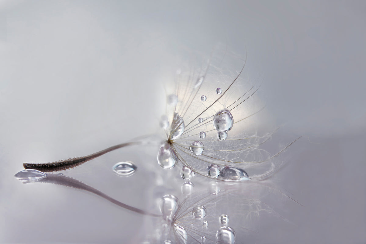 acrylic-print-silver-x