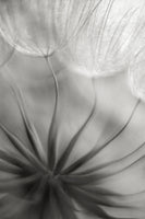 canvas-print-into-the-heart-x