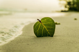 modern-3-piece-aluminium-print-beach-leaf