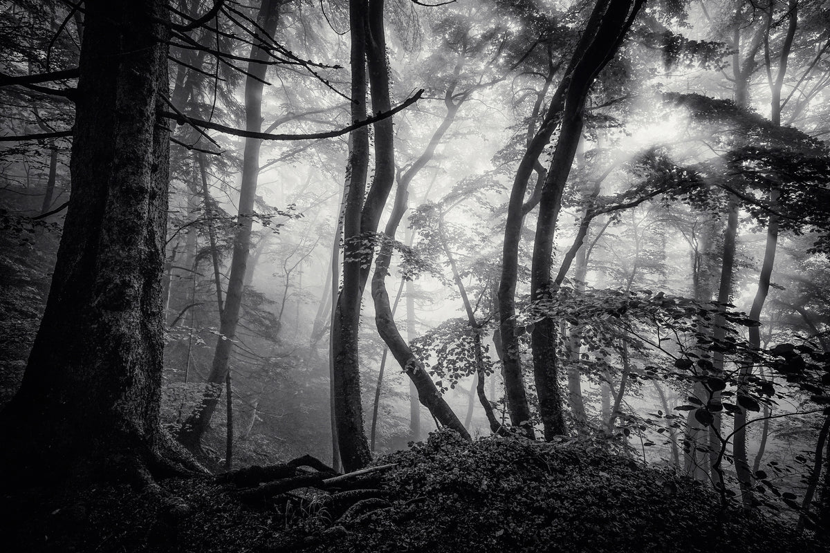 aluminium-print-mysterious-light