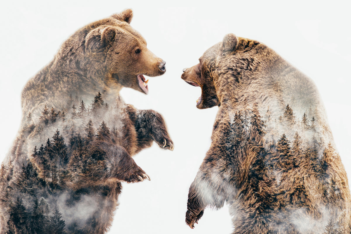 acrylic-print-wild-conflicts-x