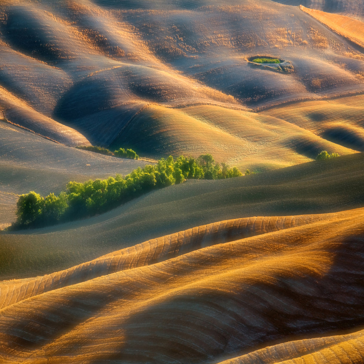 aluminium-print-fields-xlk