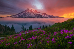 canvas-print-a-moment-in-time