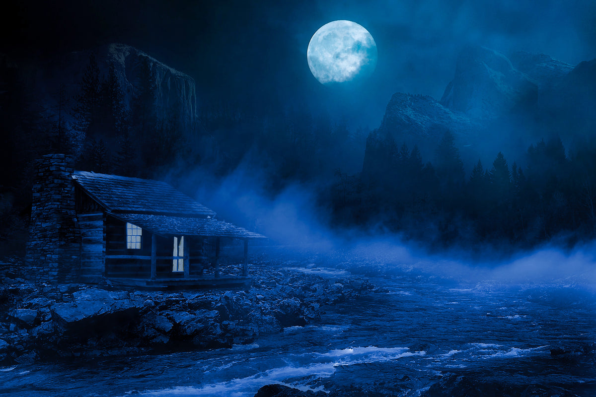 framedposter-print-at-night-in-the-woods